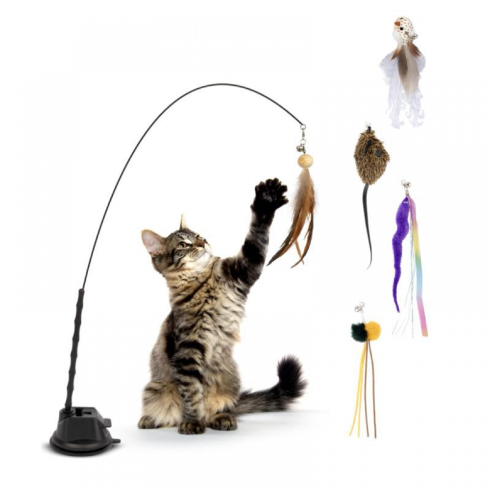 Interactive Bird Simulation Cat Toy Set