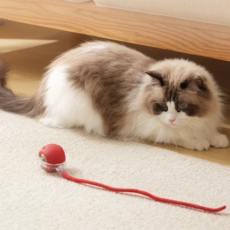 Smart Interactive Cat Ball Toy