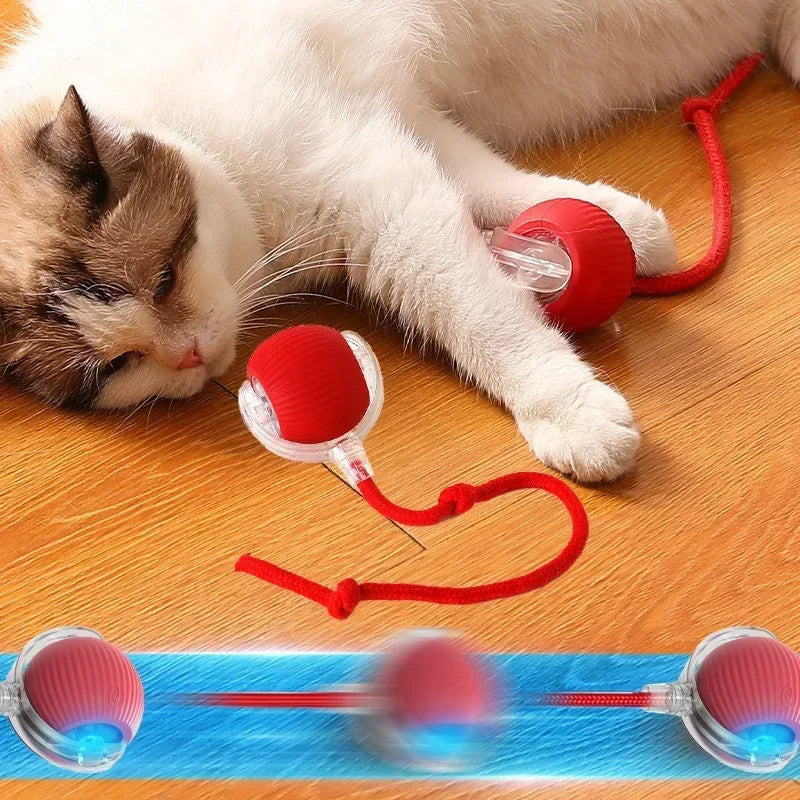 Smart Interactive Cat Ball Toy